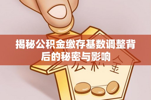宁武揭秘公积金缴存基数调整背后的秘密与影响
