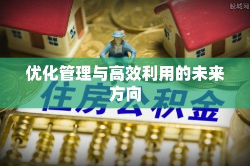 宁武优化管理与高效利用的未来方向
