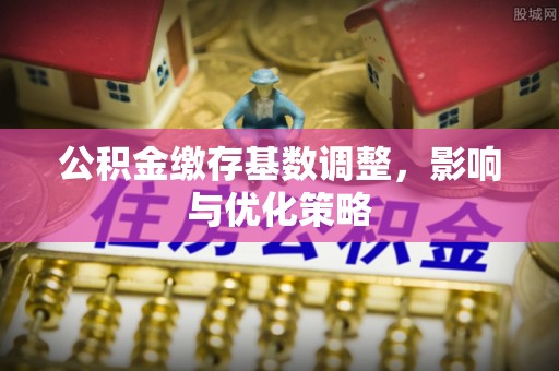 宁武公积金缴存基数调整，影响与优化策略