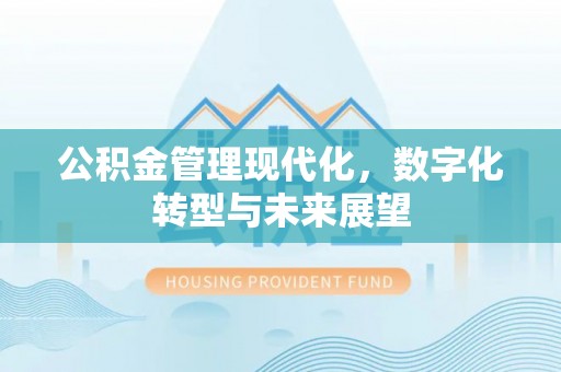 宁武公积金管理现代化，数字化转型与未来展望